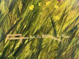 Photo 6/6 du lot