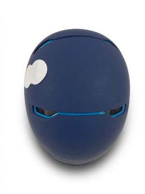 un petit objet bleu muni d'un bouton blanc