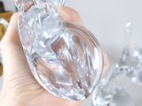 a person holding a clear glass object in their hand