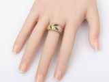 an image of a woman ' s hand with a ring on it ' s finger