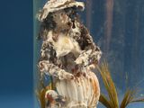 a glass jar with a doll inside of it on a table