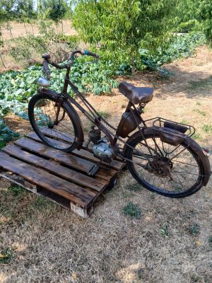 un vélo posé sur une palette dans l'herbe