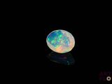 an oplite is shown in the dark with its reflection on the ground