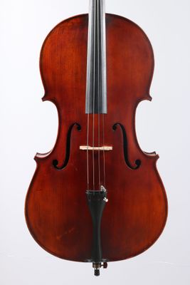 gros plan d'un violon sur fond blanc