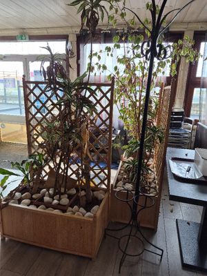 une pièce où il y a beaucoup de plantes
