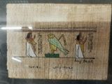 an image of a painting of a bird on display in a glass case
