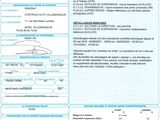 l'image d'un document sur lequel figure la photo d'une personne