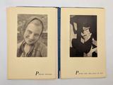 Photo 5/15 du lot