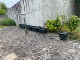 many pots of plants that are on the side of the building