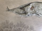 a drawing of an elephant that is laying down on the ground