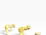 trois pièces d'or sont représentées sur un fond blanc