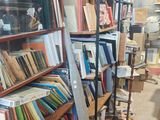 beaucoup de livres sur les étagères de la pièce