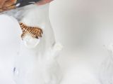 a figurine of a giraffe and a cat on a table