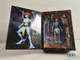 the box is open to show a picture of a woman with a sword