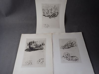 trois dessins représentant un chien et un chat allongés sur une table