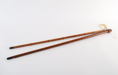 ENSEMBLE DE DEUX CANNES, ÉPOQUE XXème