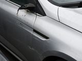 a bird that is sitting on the side of a car