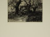 black and white photograph of an old truck parked in a wooded area