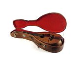 un étui à guitare contenant une guitare