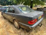 une voiture garée dans l'herbe, près d'un arbre