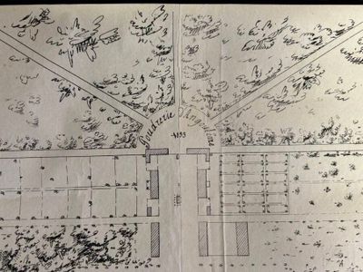un vieux dessin représentant le plan d'un parc avec de nombreux arbres