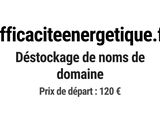 Photo 1/1 du lot