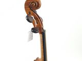 an image of a close up of a violin on a white background