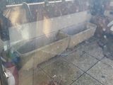 un canapé et une plante en pot sur le balcon