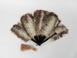 un éventail orné de plumes et d'un pompon sur un fond blanc