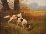 painting of two dogs in a field with a pheasant in the foreground