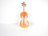 a close up of a violin on a white background