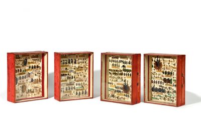 trois boîtes en bois contenant différents types de mouches