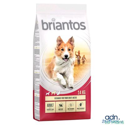 Aliments pour chiens adultes de grande race Briantos
