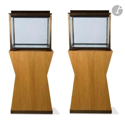 pair of wooden and glass aquariums on pedestals on a white background