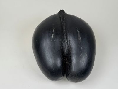 l'image d'un objet noir sur une surface blanche