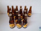 Plusieurs bouteilles de bière sont alignées sur une table
