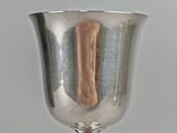 a silver cup with a bone in it on a table