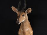 a deer head on a black background with a black background