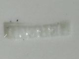 a toothbrush that is sitting on a white surface