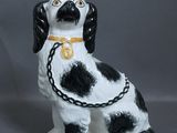 un chien noir et blanc avec une chaîne autour du cou