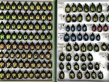 two pictures of a display case filled with lots of different types of beetles