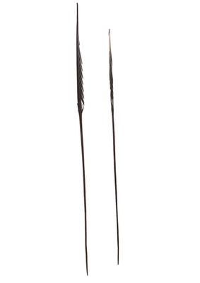 Deux lances de cérémonie en bois sculpté provenant probablem…
