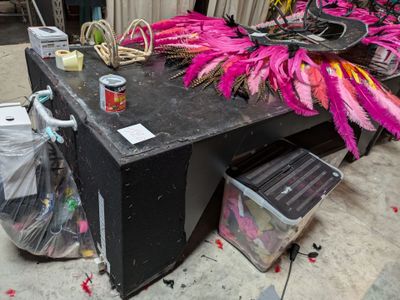 a table with a bunch of feathers on top of it