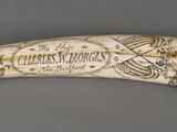 an elephant ' s tusk that is on display on the table