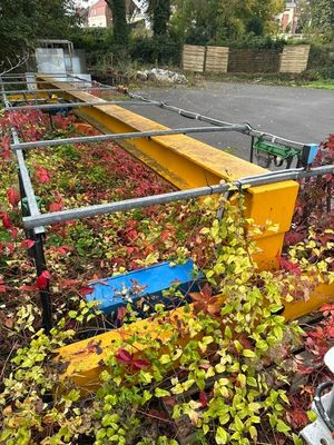 une clôture d'où poussent plein de plantes
