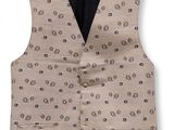 a picture of a vest with a pattern on it