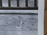 black and white photograph of a dog standing in front of a fence