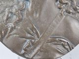 a close up of a silver coin with a woman ' s face