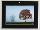 framed photograph of two trees in a foggy field with a blue sky in the background