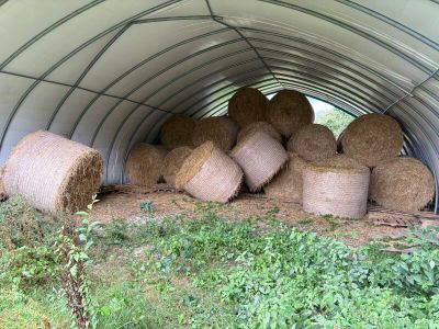 Des balles de foin sont empilées dans un abri métallique, dans un champ